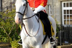 Mounted Royal Scots Dragoon Guard