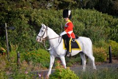 Mounted Royal Scots Dragoon Guard arrives at Dalmahoy Hotel