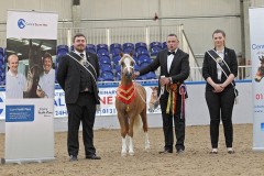 2019 City of Edinburgh Horse Show Supreme Champion
