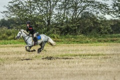 Edinburgh-Riding-of-the-Marches-grey-horse-take-off-photo-by-Phunkt.com_