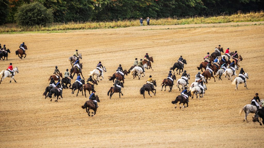 Erotm gallops